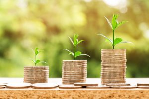 Best in 2027 Who Cricket Betting Tips for Profit: Pro Tips to Win in India (2027)