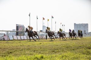 Secure Horse Racing Betting India Tutorial 2026: Step-by-Step Guide for India (2027)